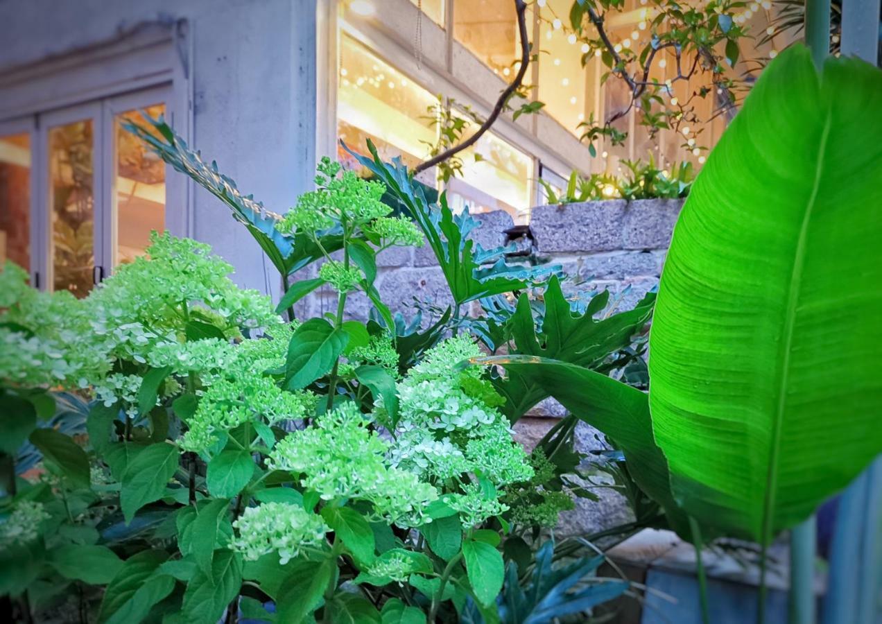 深圳6号花园别墅酒店（蛇口海上世界店） 外观 照片